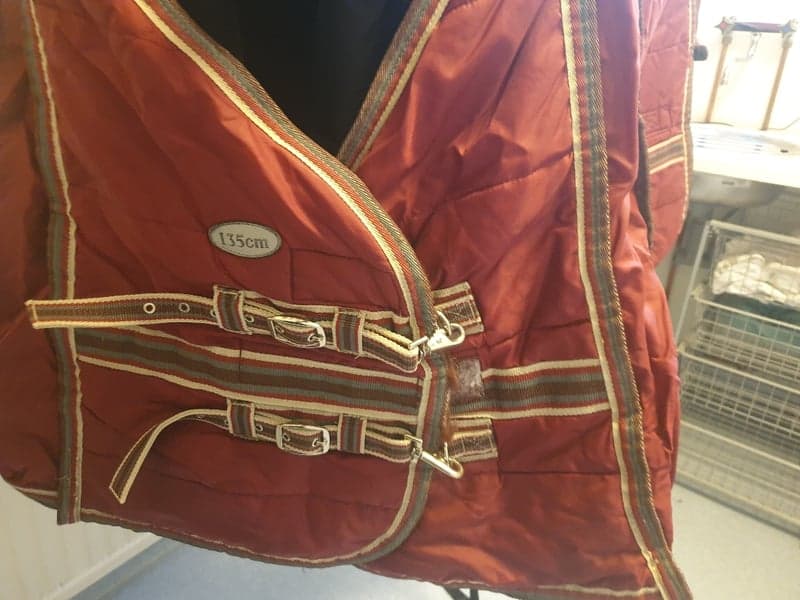 Image 2 of Red stable rug