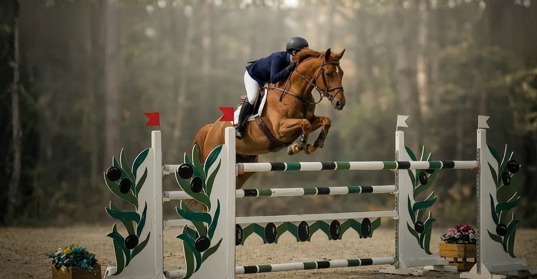 Show jumping