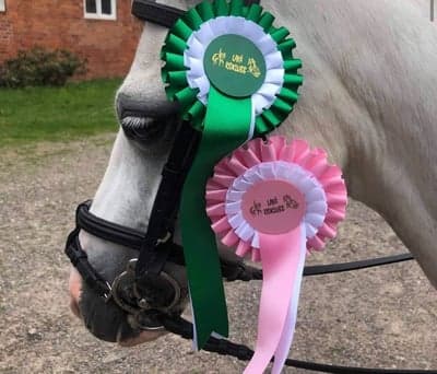 Inlägg 396 av Hoppning med titeln P&j i Laxå❤️