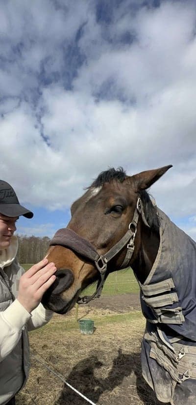 Inlägg 15 av Halvblod med titeln Söndagsgos❤️