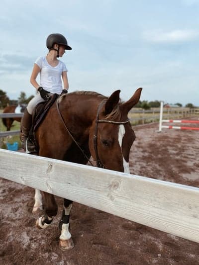 Inlägg 91 av Allround