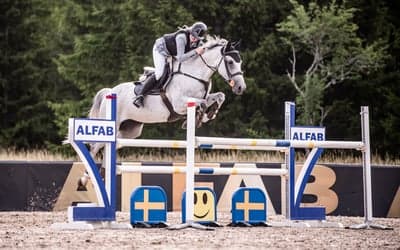 Inlägg 40 av Allround