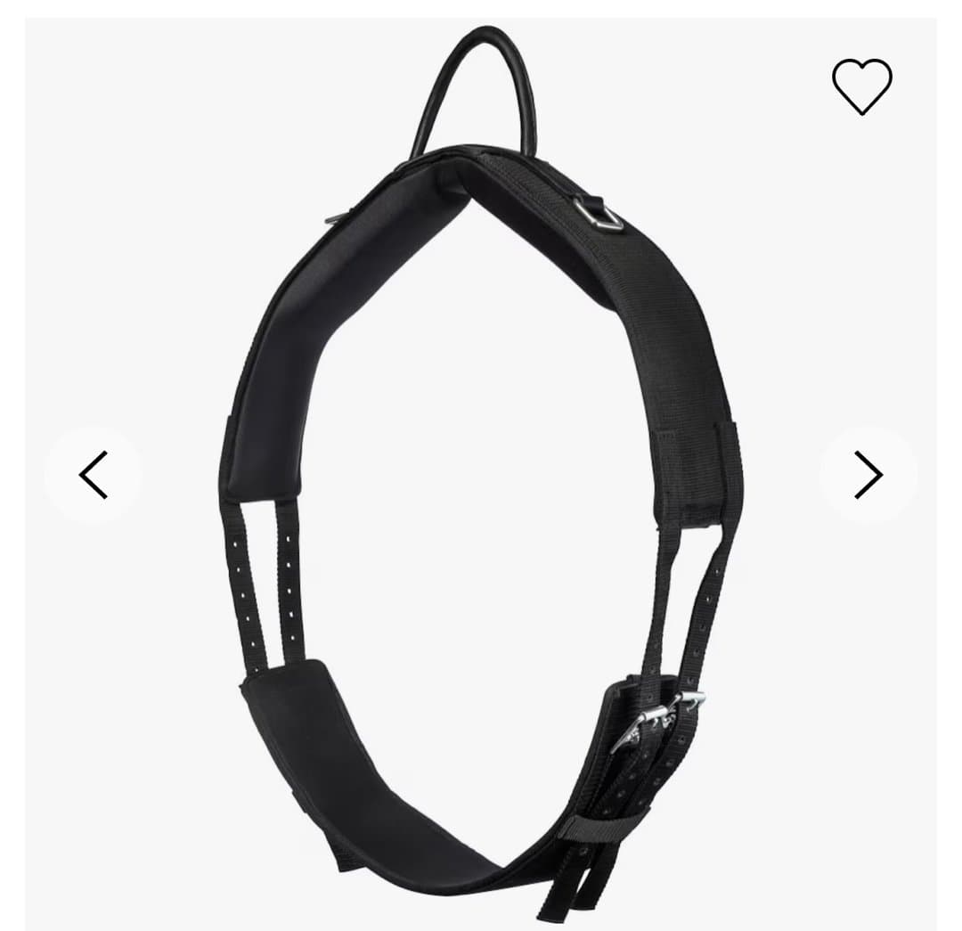 Bild 1 av Svart barbackagjord