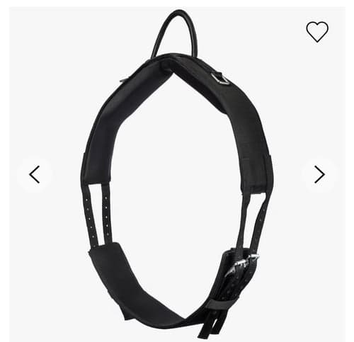 Bild av Svart barbackagjord