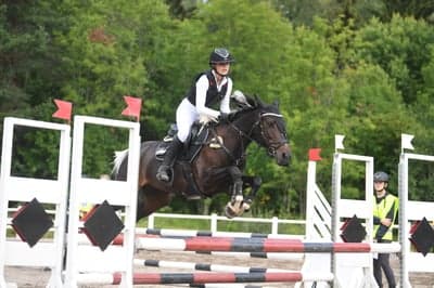 Inlägg 54 av Allround