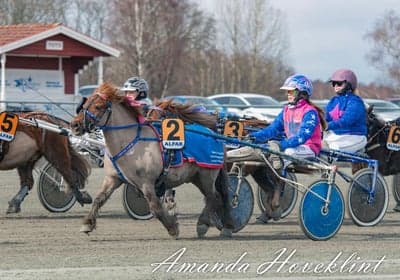 Inlägg 71 av Allround med titeln Ponnytrav