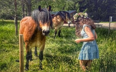 Inlägg 2 av Ardenner