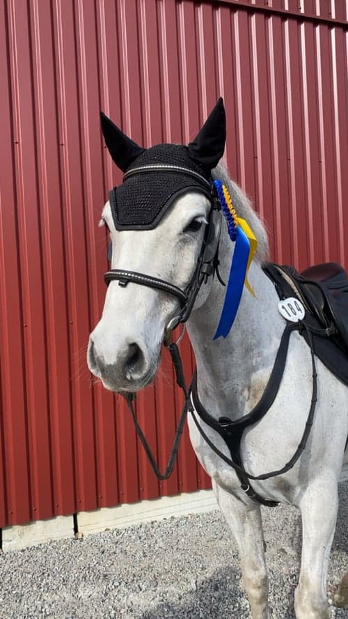 Bild av D ponny med ett hjärta av guld