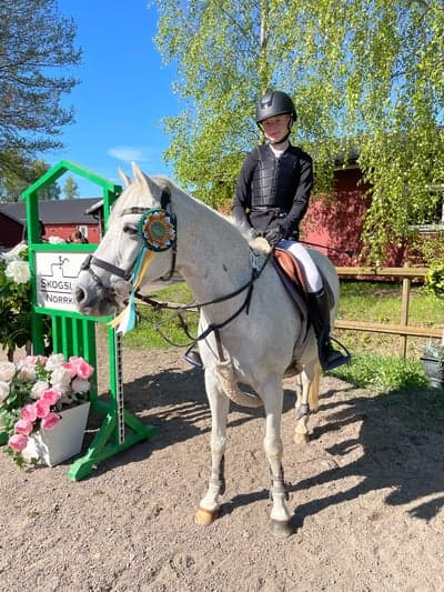 Inlägg 1 av Dansk Sportponny med titeln ⭐️ 