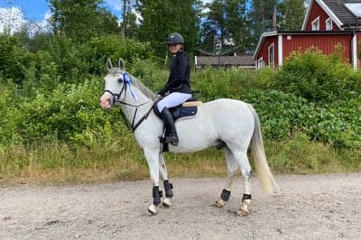 Inlägg 422 av Hoppning med titeln Första tävlingen på bortaplan 