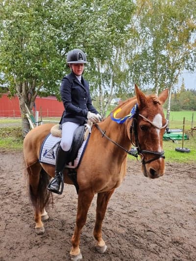 Inlägg 475 av Hoppning