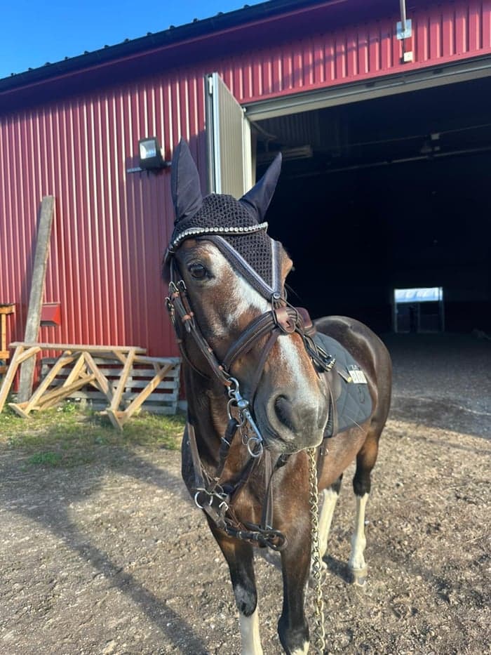 Media 1 av Castel quater 24