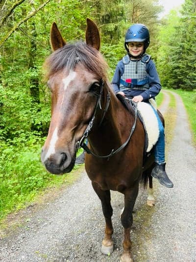 Inlägg 13 av New Forest med titeln 😻