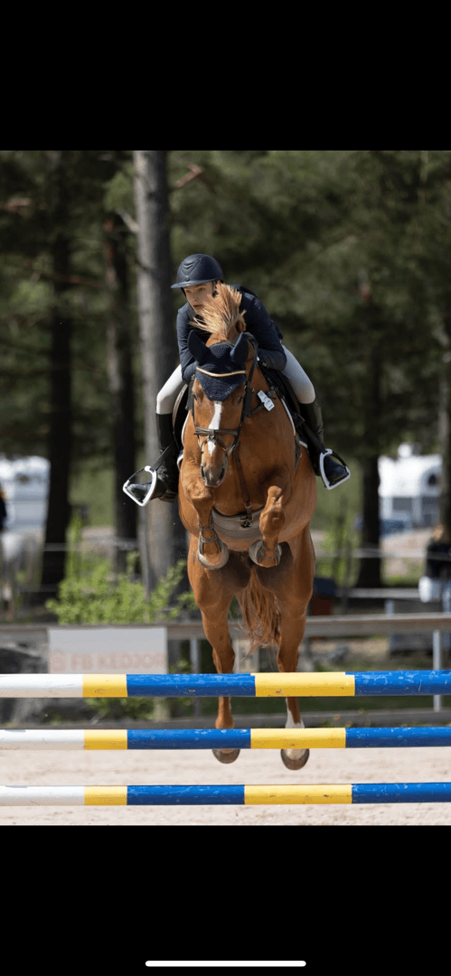 Bild 3 av Hope For Golden Z