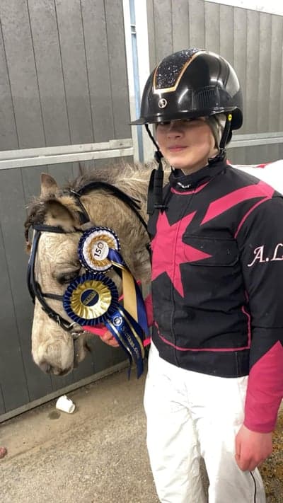 Inlägg 19 av Hoppning med titeln Ponnytrav