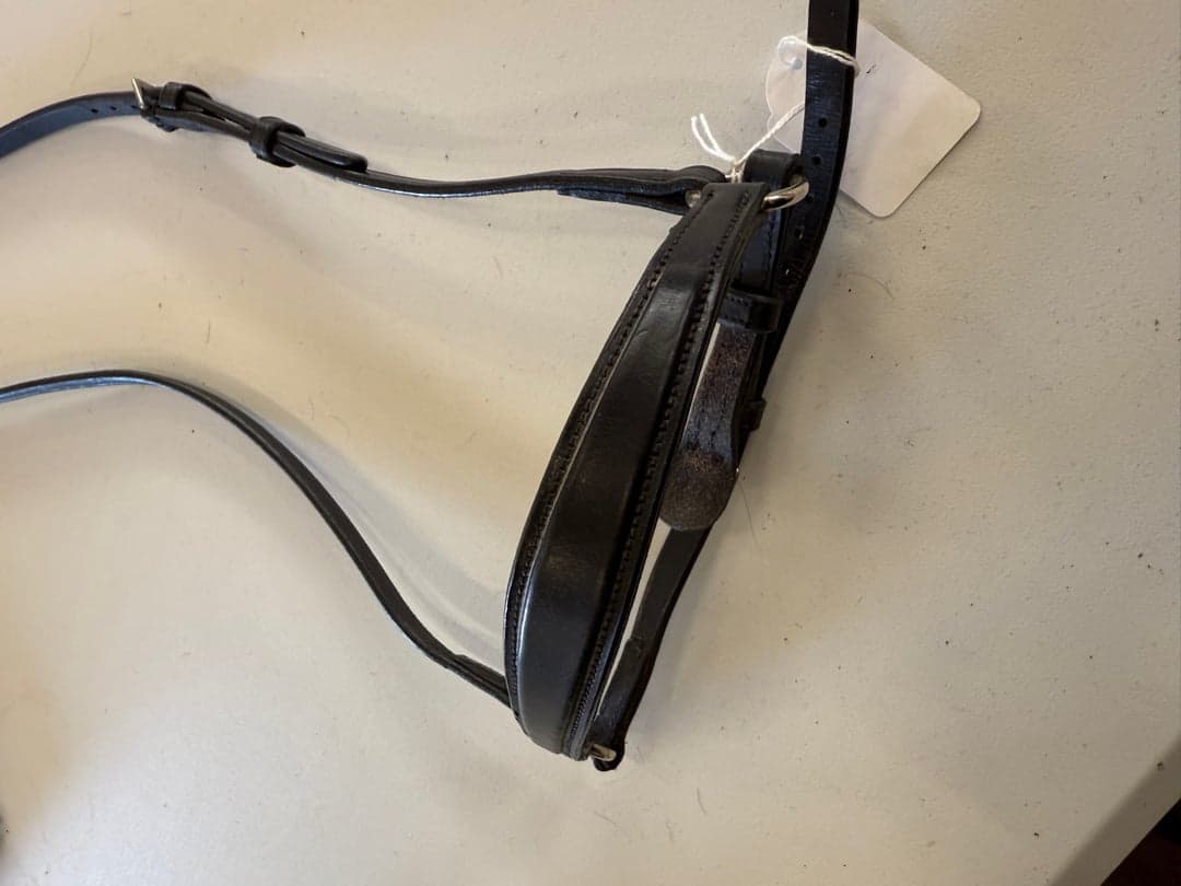 Bild 1 av Alisa nosgrimma