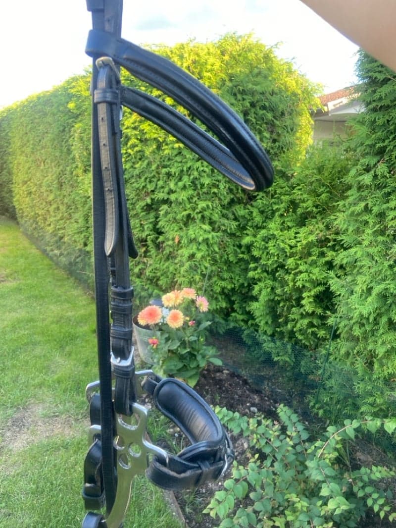 Bild 2 av Svart hackamore