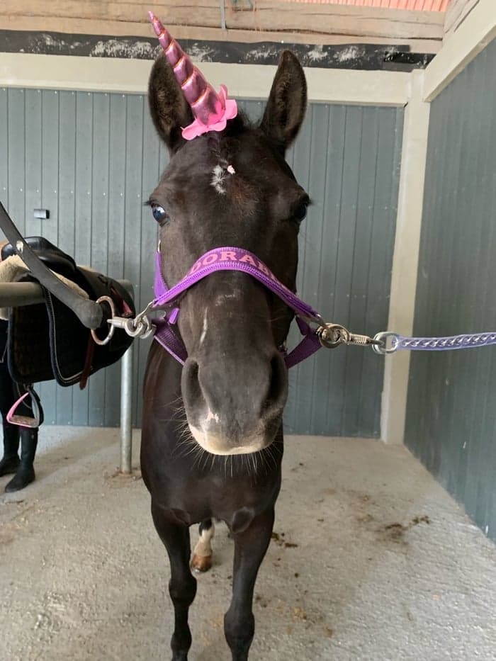 Media 1 av Cinderella