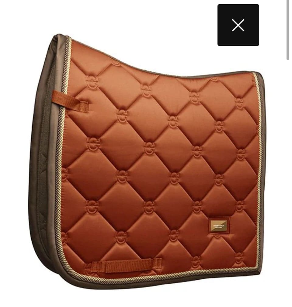 Bild 1 av Dressyr Orange- ES Shabrack 🧡 