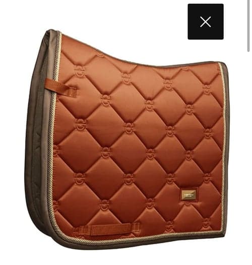 Bild av Dressyr Orange- ES Shabrack 🧡 