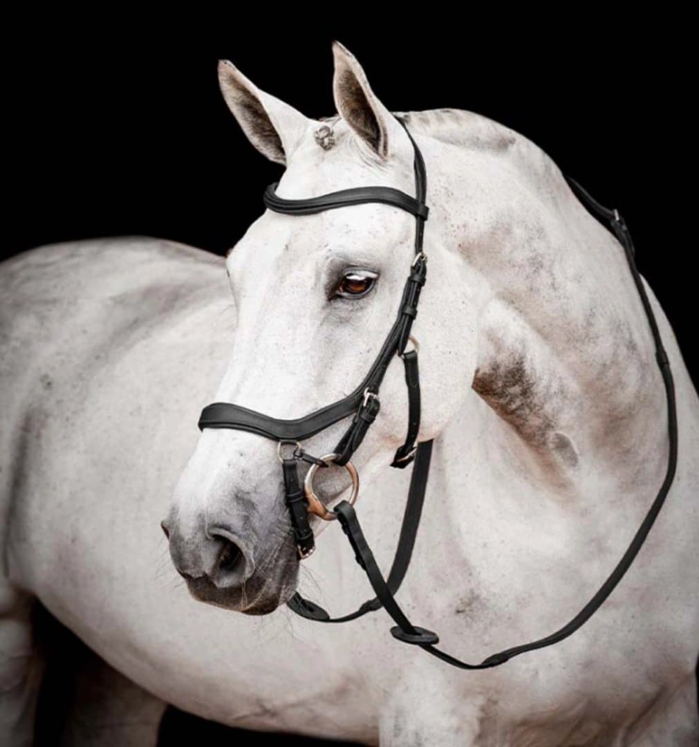 Bild 1 av Svart Micklemträns