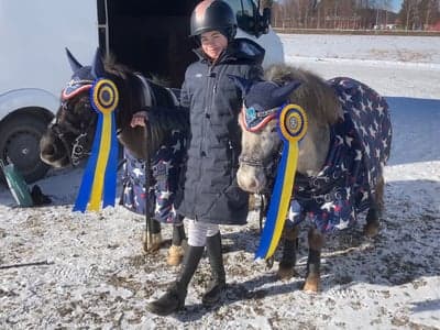 Inlägg 17 av Galopp med titeln Hopptävling