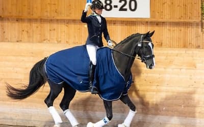 Inlägg 12 av Dressyr