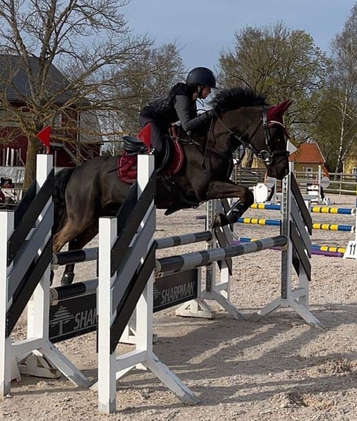 Media 2 av Equestrian Stocholm schabrak och huva 