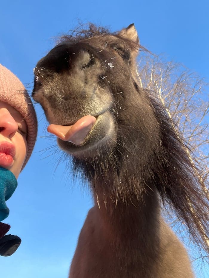 Media 4 av Orka Från Stenbacken