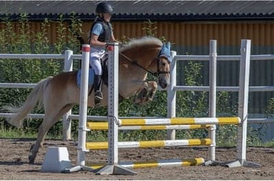 Inlägg 130 av Allround