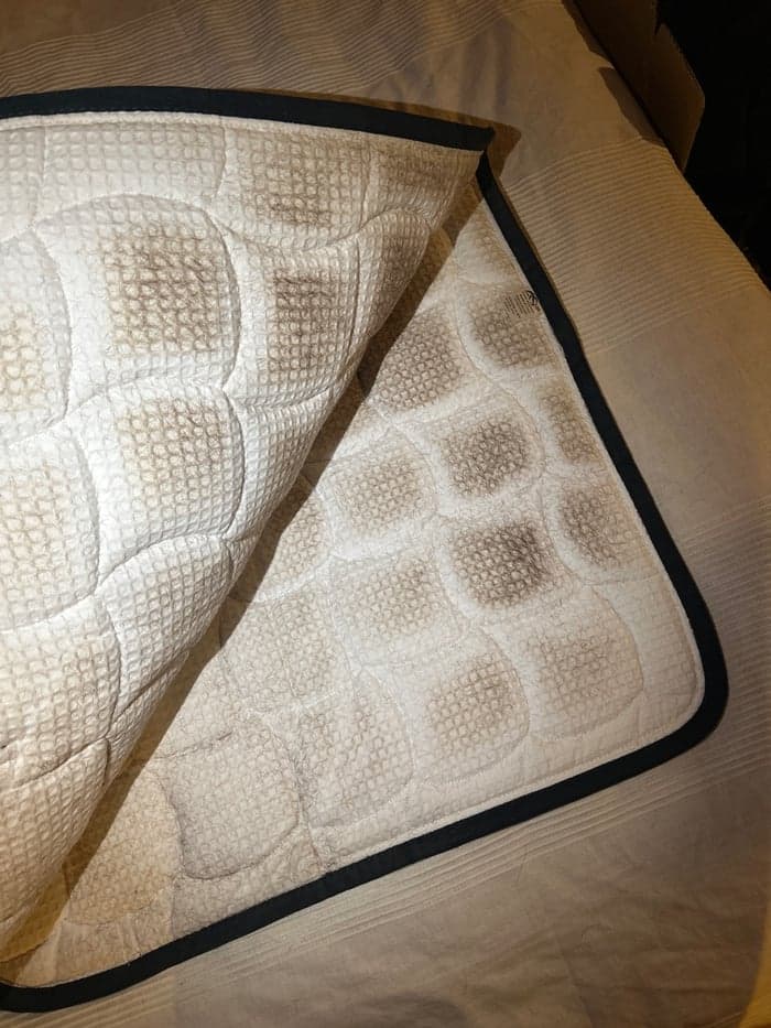 Media 4 av Mörkblått anna scarpati dressyr schabrak