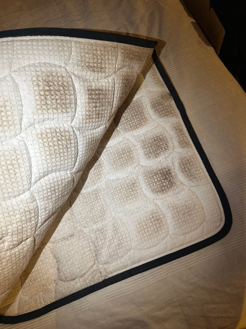 Bild 4 av Mörkblått anna scarpati dressyr schabrak