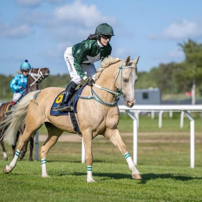 Media 1 av Fredriksdals Tarzan