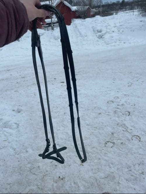 Bild av Svarta tyglar