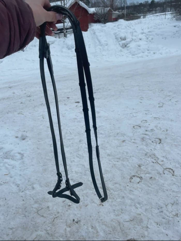 Media 1 av Svarta tyglar