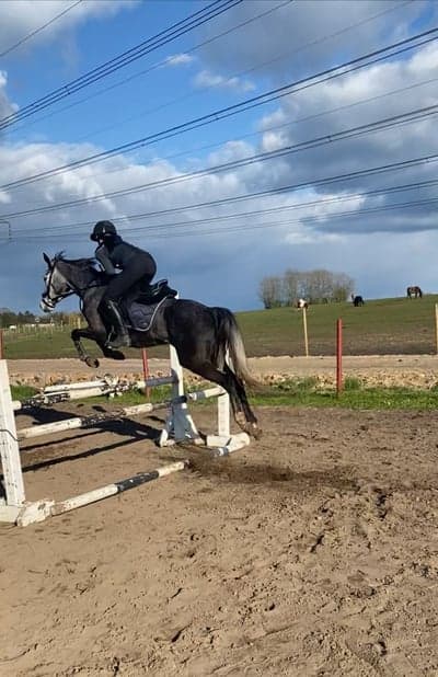 Inlägg 39 av Allround