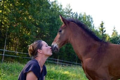 Inlägg 94 av Allround