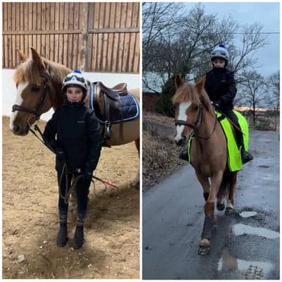 Inlägg 61 av Galopp med titeln Superduktig Linnie idag😍🫶🏻