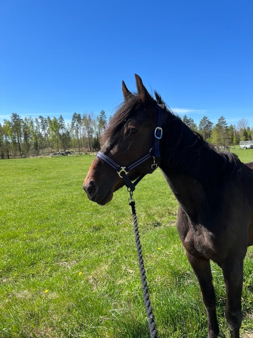 Image 1 of Janai F.G.F Gusa