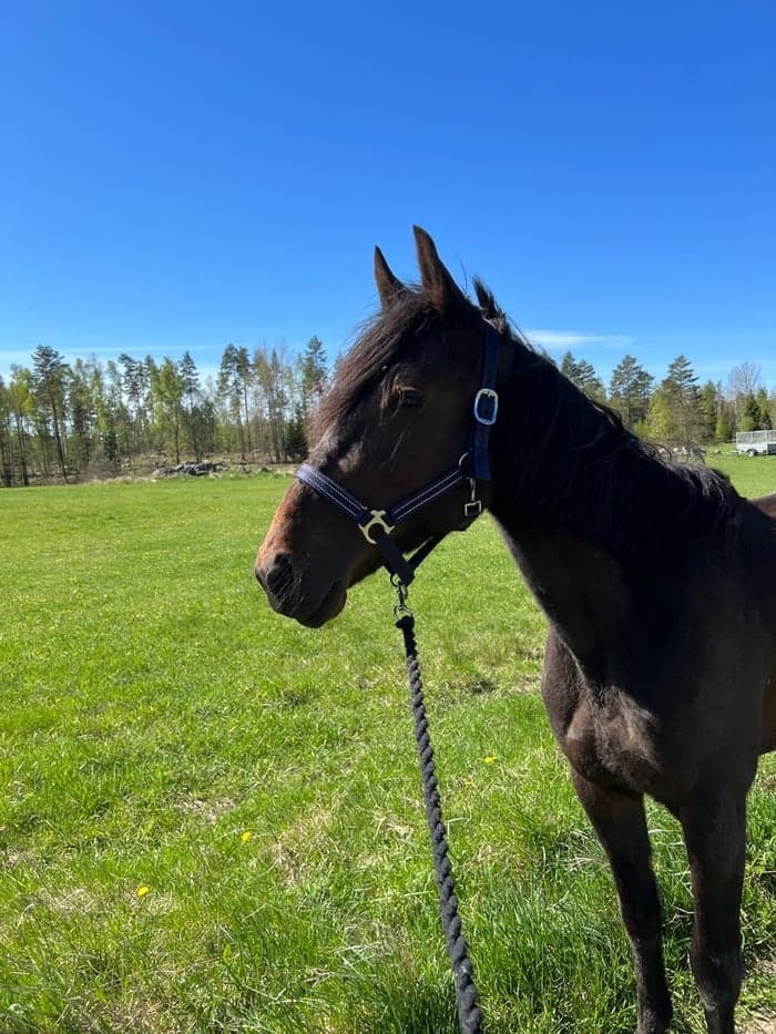 Media 1 of Janai F.G.F Gusa