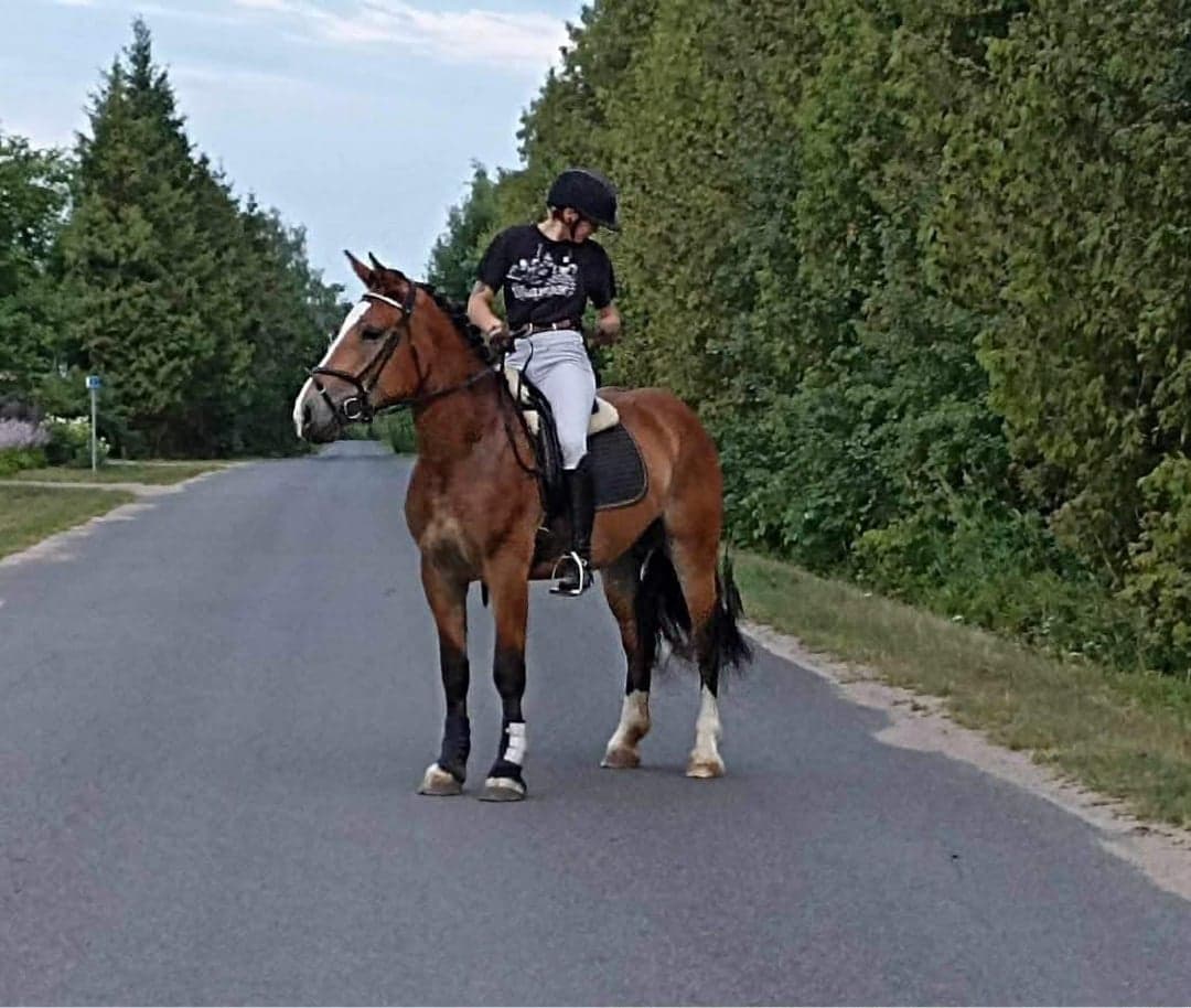 Bild 1 av Sto - inkörd