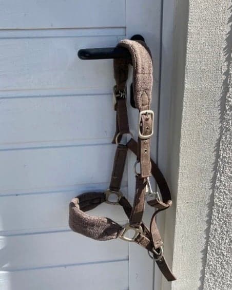 Bild 1 av Brun grimma