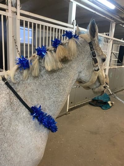 Inlägg 6 av Galopp med titeln Ponnygalopp ❤️