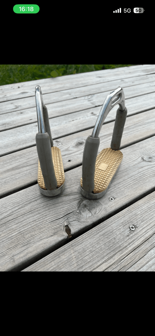 Bild 3 av Grå stigbyglar