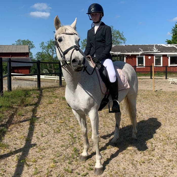 Media 1 av Oceanhill Activera