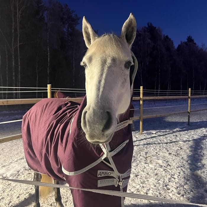 Media 1 av Diamond