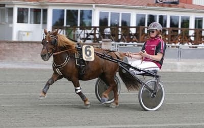 Inlägg 115 av Trav med titeln Dalatravets Travgala