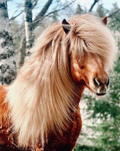 Inlägg 13 av Allround med titeln good hairday💁🏼‍♀️🙈