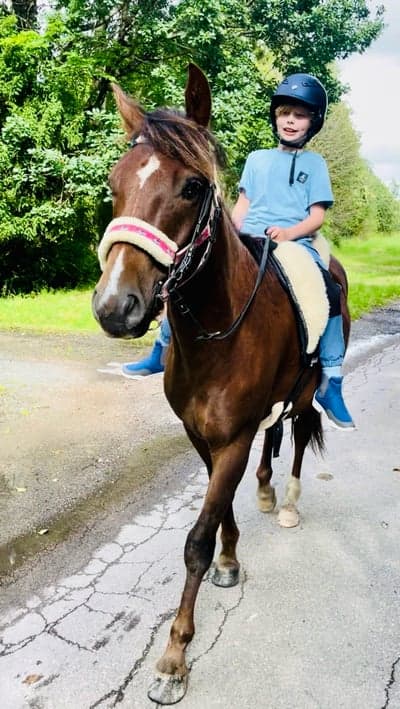 Inlägg 11 av Allround med titeln 🦄🍀