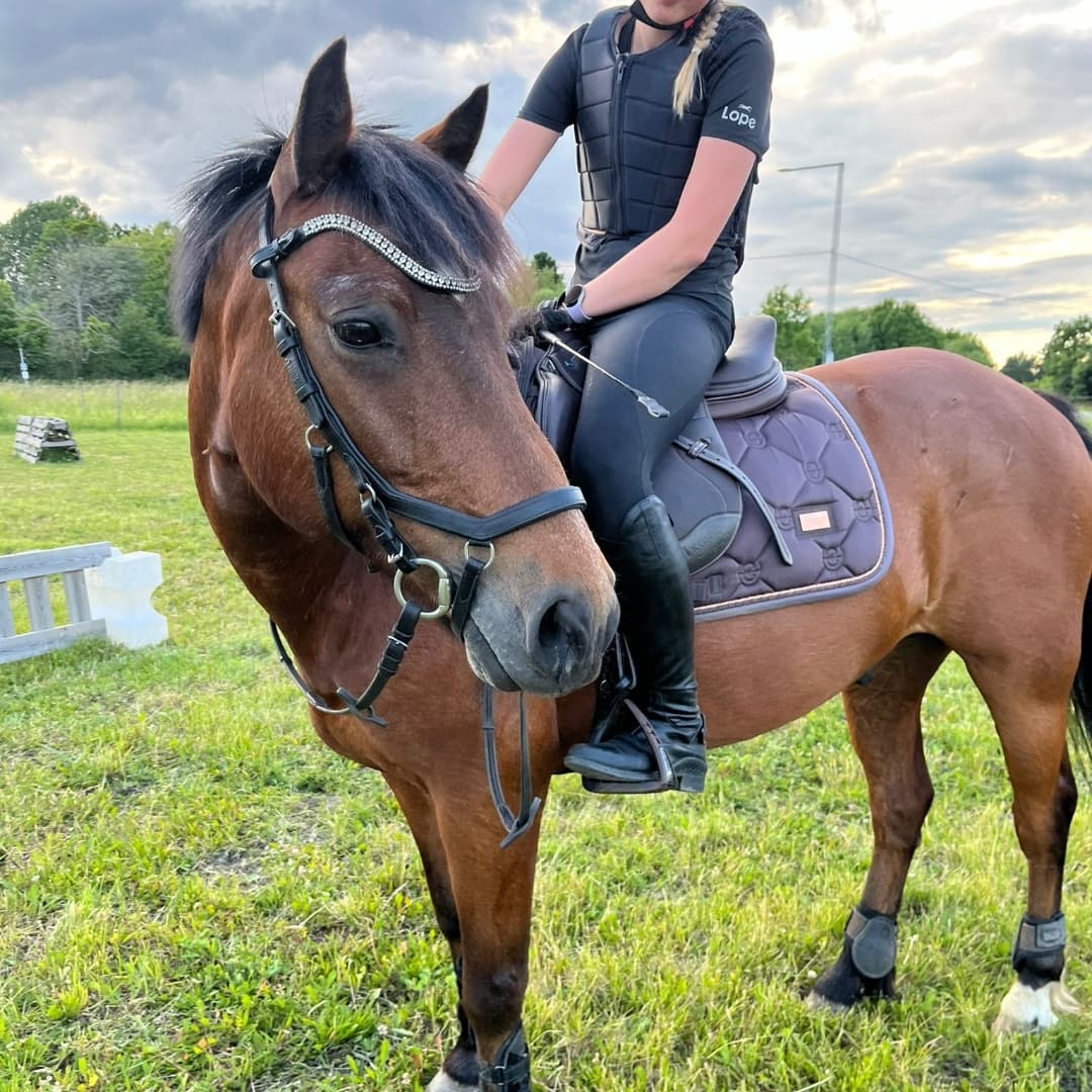 Image 1 of Freemount Jester